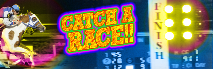 Catch a race!